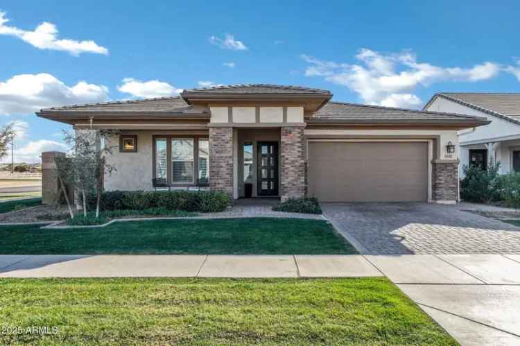 Luxury Buy Single Level Home in Gilbert Morrison Ranch with Pool