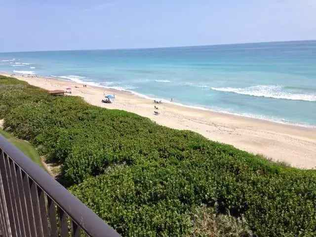 Rent Apartment Unit Beachfront Spectacular Views 6th Floor Corner