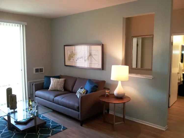 Rent Apartments in Avalon Campbell with Top Amenities and Community Features