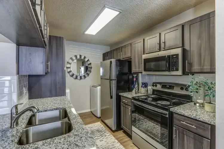 Rent Newly Renovated Apartments in Chappell Hill with Great Amenities