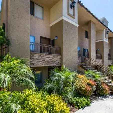 Rent Boutique Apartments at Lake Murray with Premium Upgrades