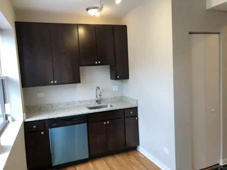 Rent Studio Apartment Close to Kimball Brown Line Dog Friendly