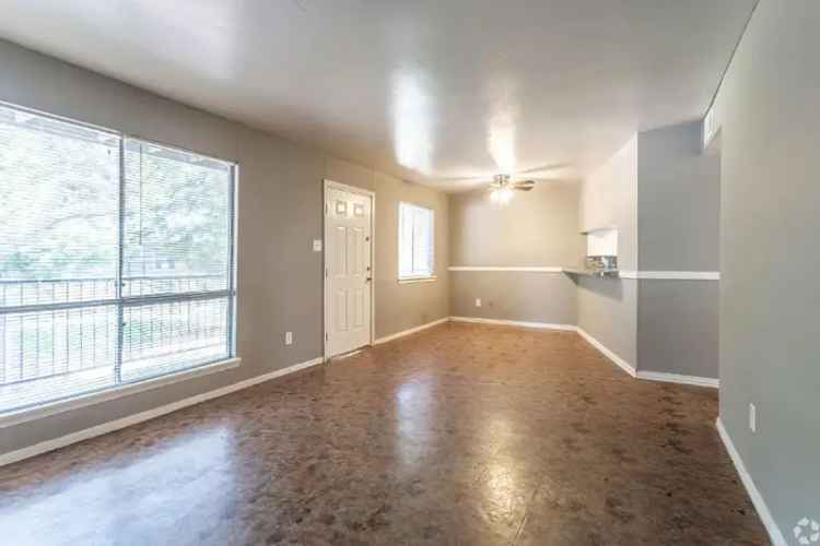 Rent Apartments in Baytown with Modern Features and Pet Friendly Options