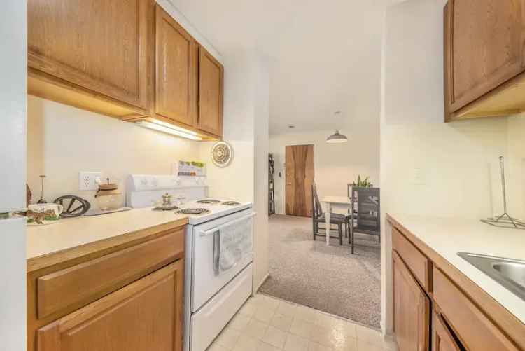 Rent Apartments in Ann Arbor with Spacious Layouts and Urban Convenience