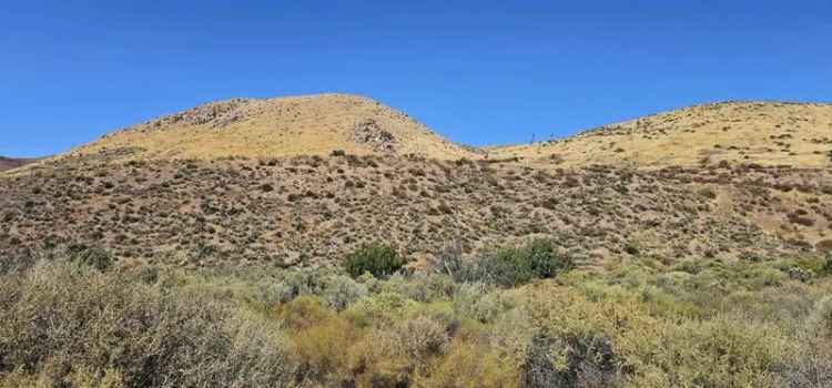 Land for Sale with Scenic Views and Access Road