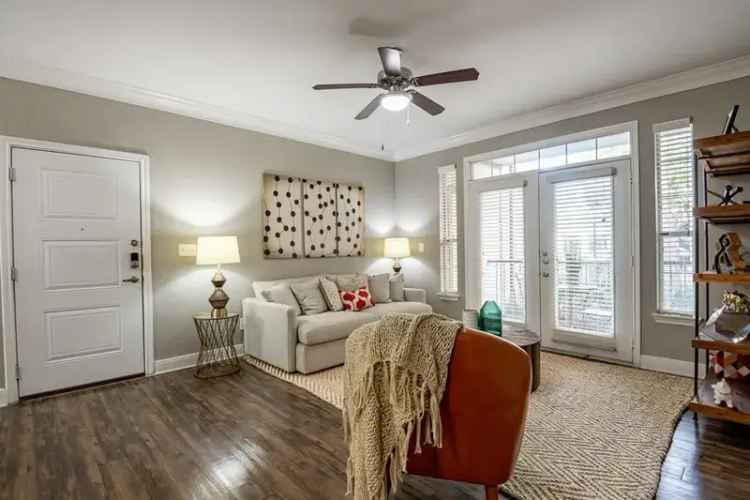 Rent Apartments with Modern Interiors in Dallas Texas