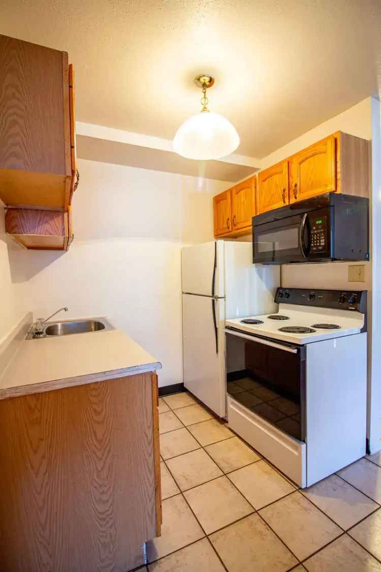 Rent Apartments in Historic Downtown Elyria with Modern Amenities