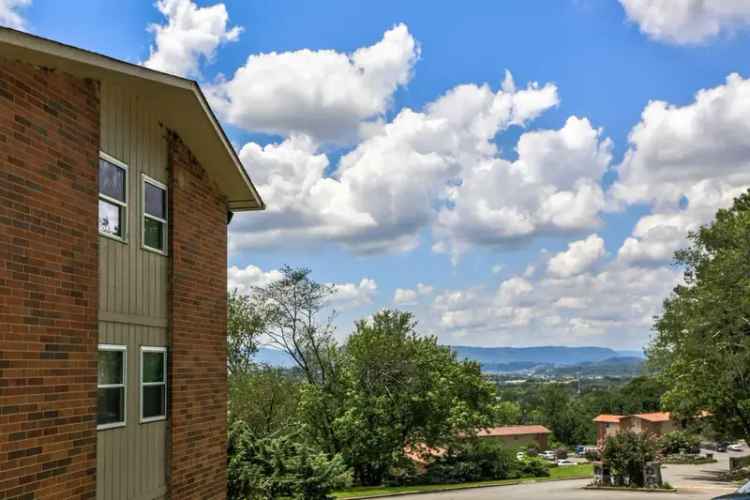 Rent Apartments with Stunning Views in Chattanooga