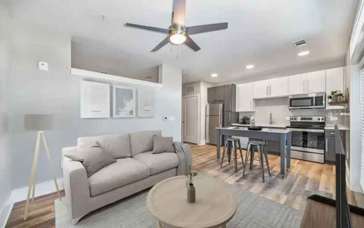 Rent Apartments in Mount Pleasant with Vibrant Community Features