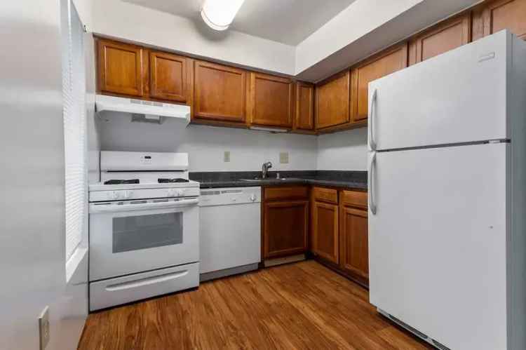 Rent Apartments in Lerner Springs at Reston with Modern Amenities