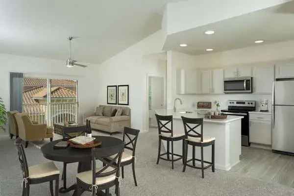 Rent Spacious Apartments in Brandon with Modern Features and Amenities