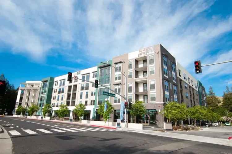 Rent Modern Apartments in the Heart of the Bay with Top Amenities