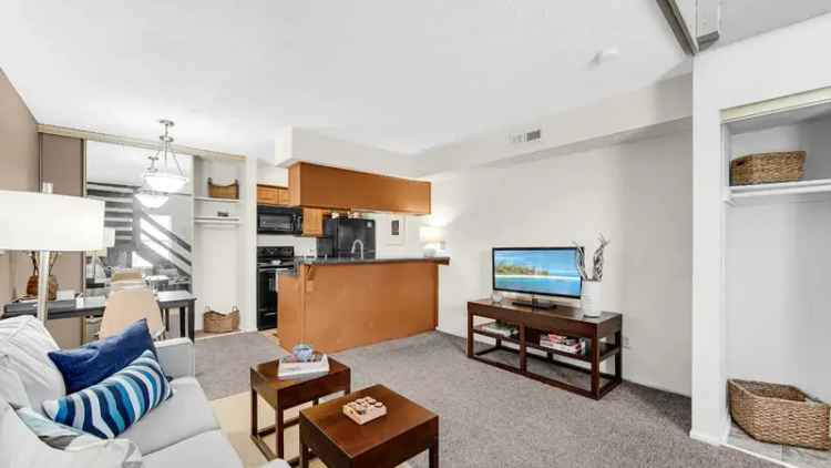 Rent Apartments in Castleton with Modern Features and Community Amenities