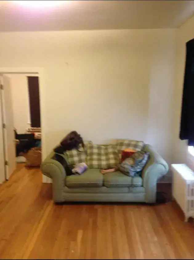 Rent Newly Renovated Apartment 2 Bed 1 Bath in Dorchester