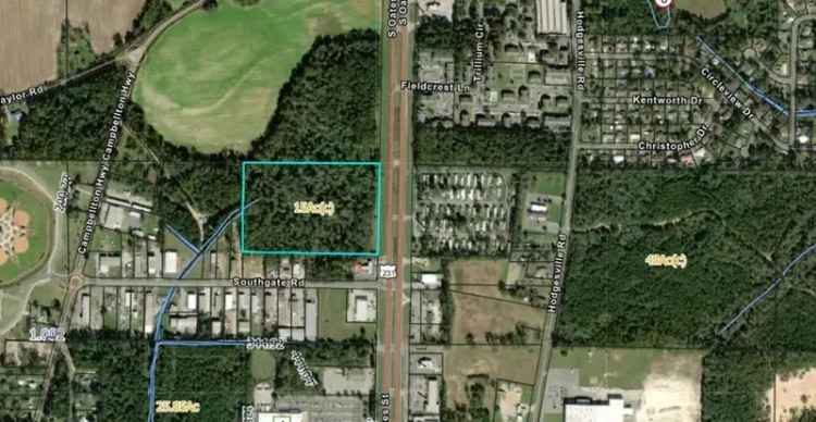 Buy Wooded Land on Hwy 231 S with Development Potential