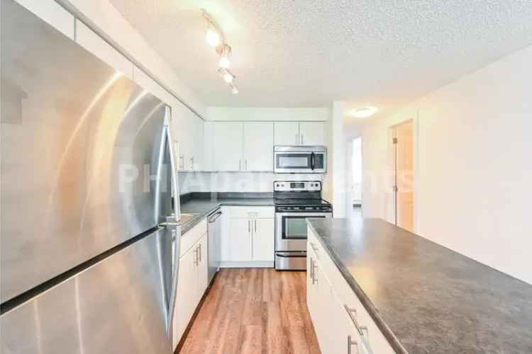 Apartments for Rent in Lakewood with Modern Features and Amenities