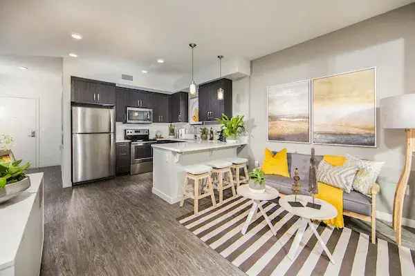 Rent Modern Apartments in San Marcos with Luxurious Amenities