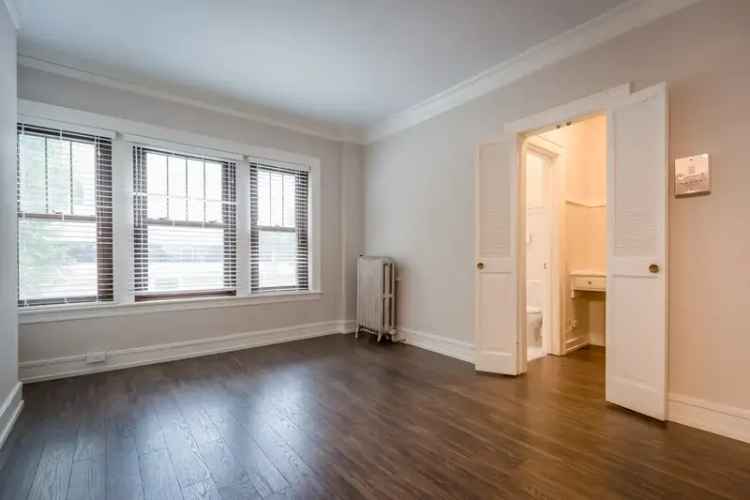 Rent Studio and One Bedroom Apartments in Hyde Park Chicago