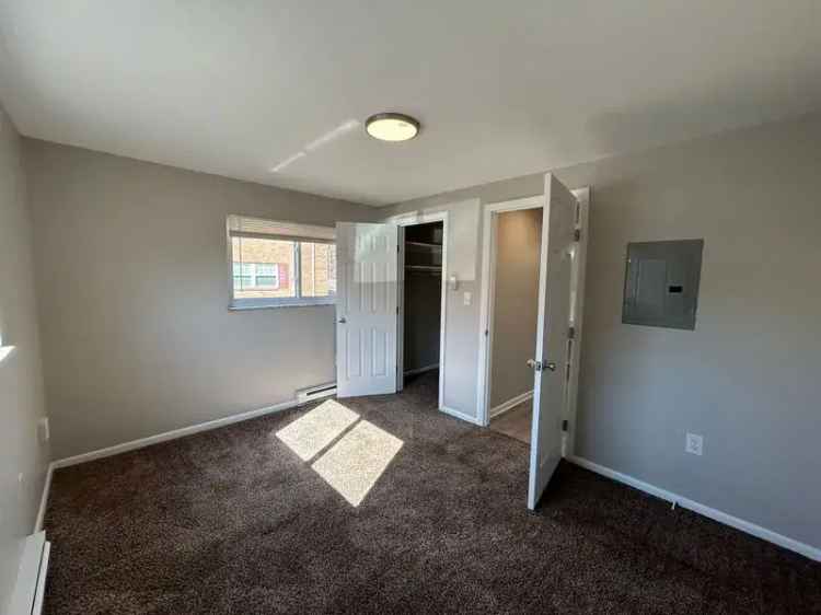 Rent 1 Bedroom Apartment Comfortable Living with Natural Light