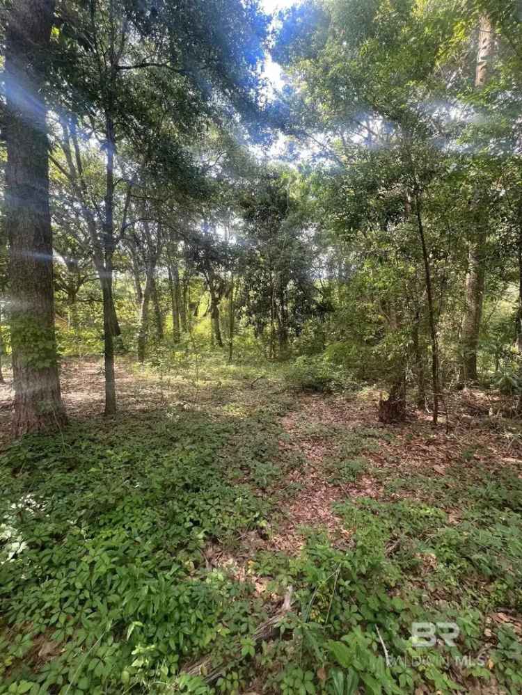 Residential Lot Buy with Wooded Features