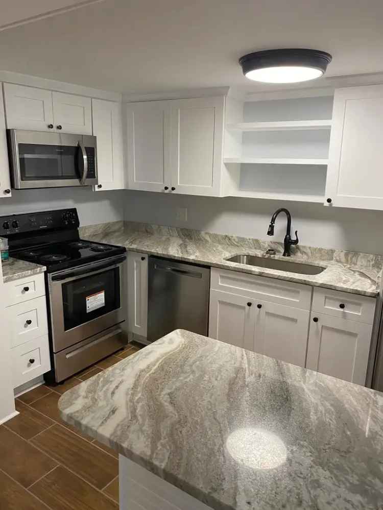 Rent Apartment Duplex Unit Fully Renovated with Premium Finishes