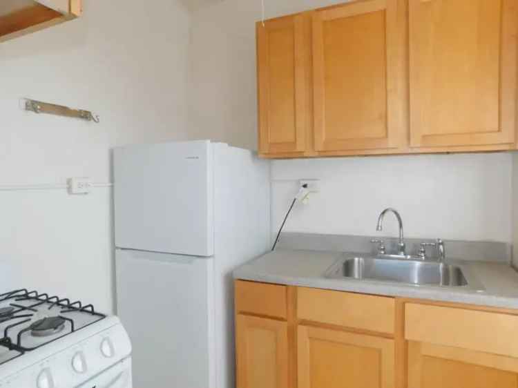 Rent Bright Downtown Evanston One Bedroom Apartment with Great Features