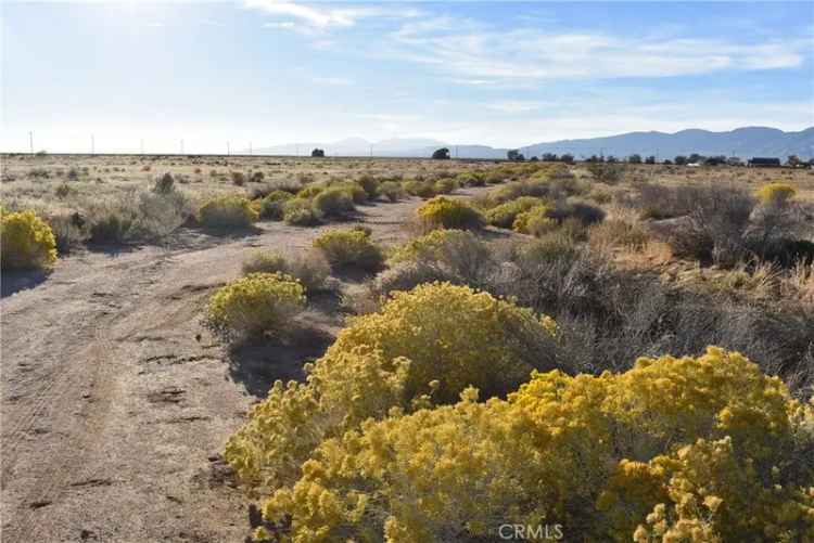 Land For Sale in California City, California