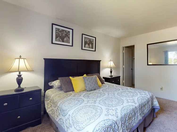 Rent Apartments in South County with Nature Access and Comfort Features