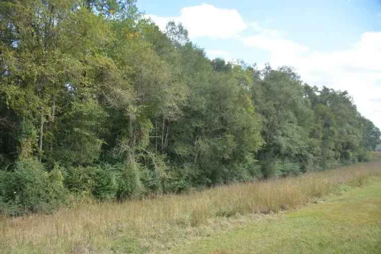 Buy Wooded Lot Ideal for Agriculture Near Schools