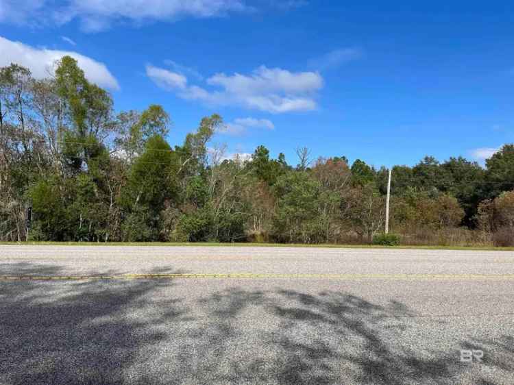 Buy Commercial Land with Great Exposure on Foley Beach Express