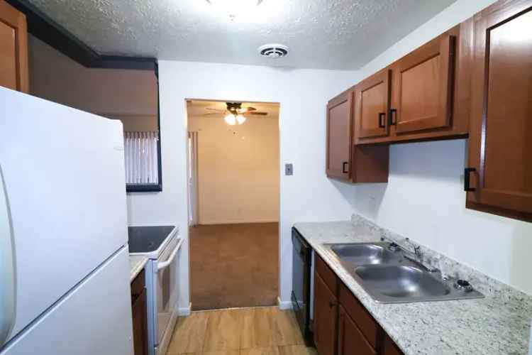 Rent Ridgeview Apartment in Mt Washington Near Shops and Parks