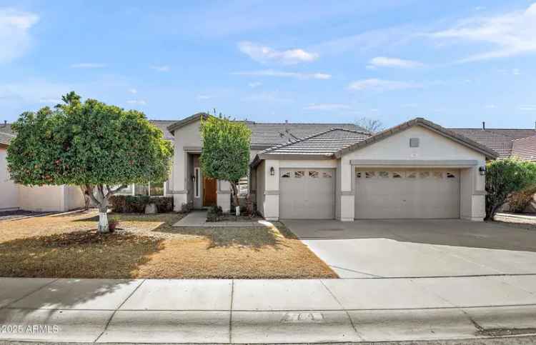 Buy 4 Bedroom Home in Chandler with 3 Car Garage and Fruit Trees