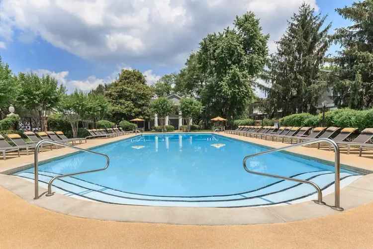 Rent Chelsea Place Apartments in Murfreesboro with Pet Friendly Amenities