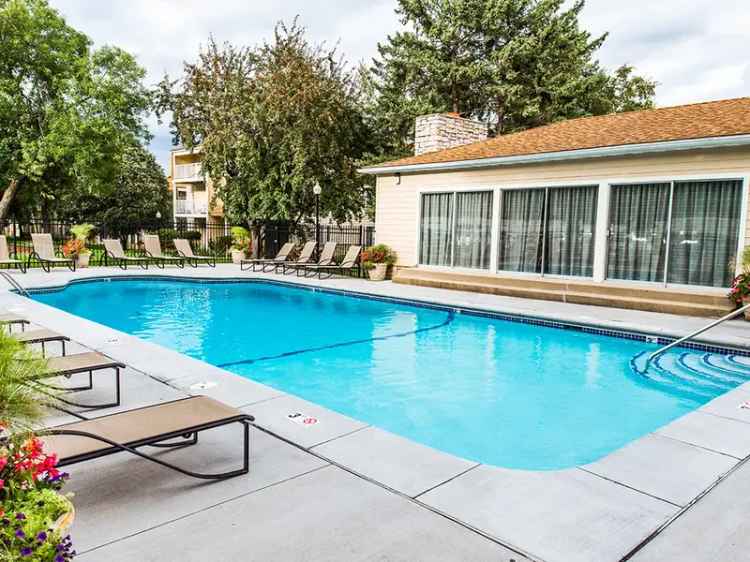 Rent Spacious Apartments at The Pines of Burnsville with Pool and Outdoor Areas