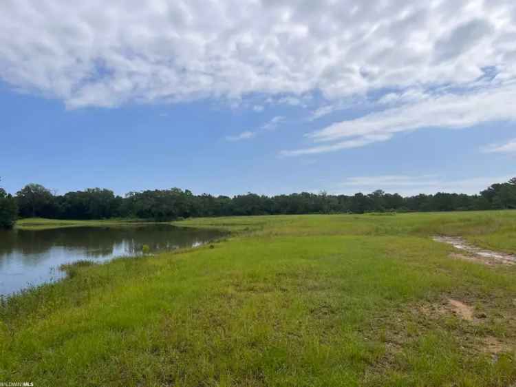 For Sale Farmland in Fairhope with Highway Frontage and Development Potential