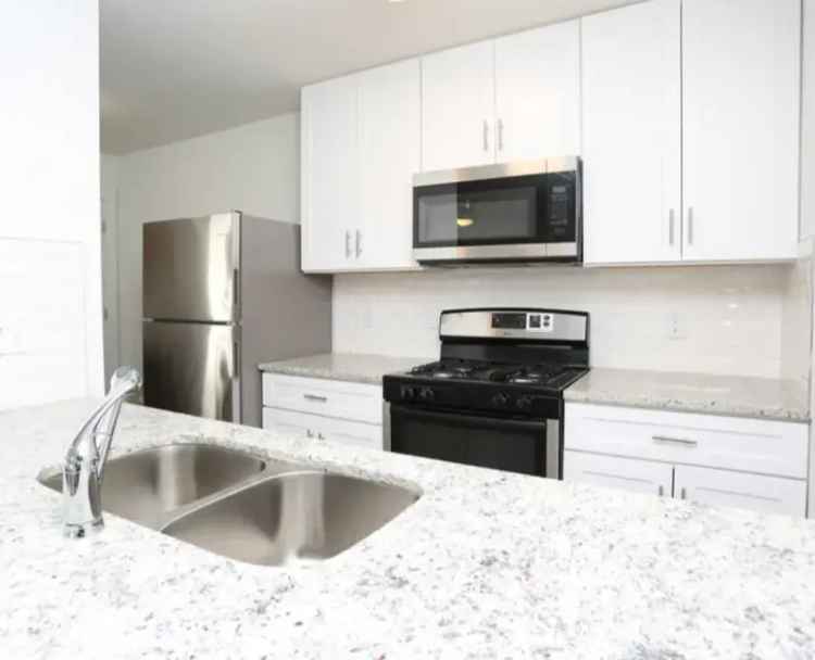 Rent Spacious Modern Apartments in Austin with Pool and Dog Park