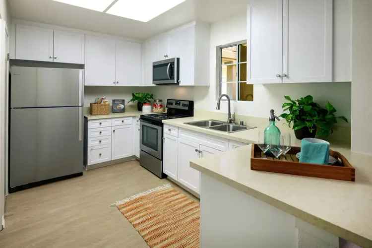 Rent Spacious Apartments at San Paulo Near Bill Barber Memorial Park