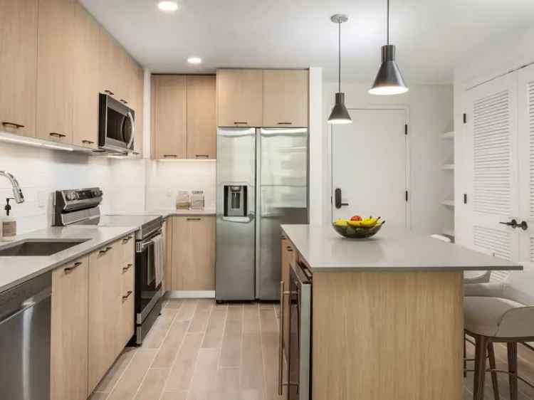 Apartments for Rent in Miami with Modern Amenities and Luxurious Features