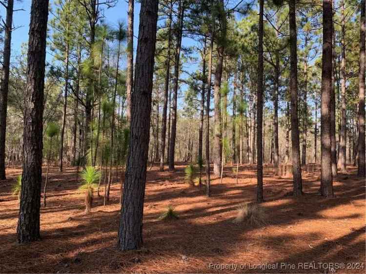 Land for sale in Moore County North Carolina with no HOA