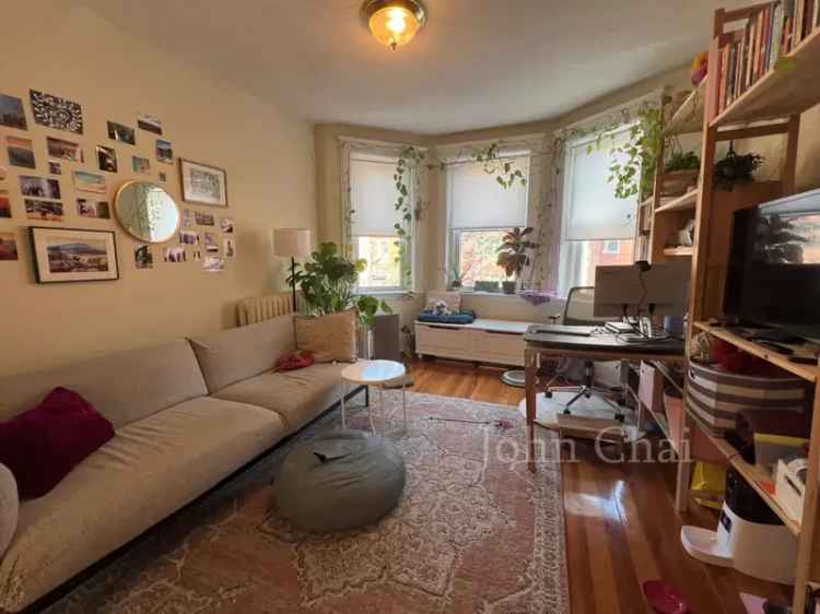 Rent Spacious 1 Bedroom Apartment in Jamaica Plain With No Broker Fee