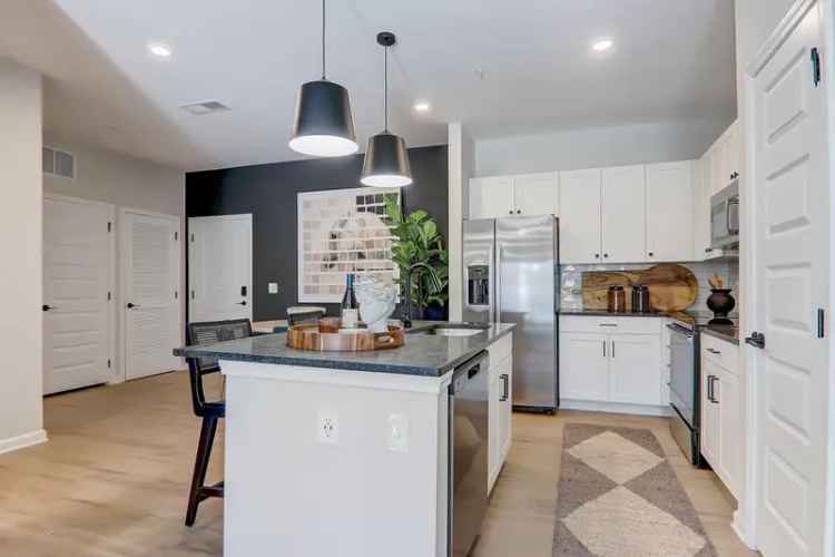 Rent Luxury Apartments in Greenville with Gourmet Kitchens and More