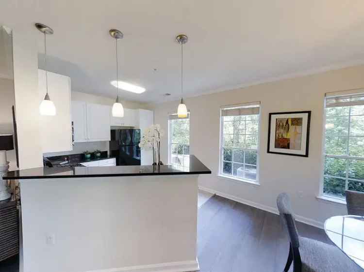 Rent Luxury Apartments in Bethesda with Modern Amenities