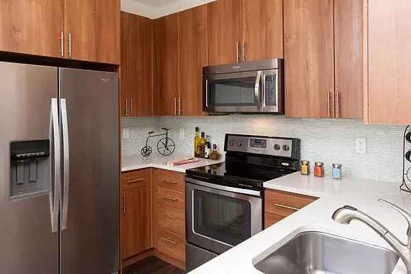 Rent Apartment in San Jose with Urban Adventures and Nearby Landmarks