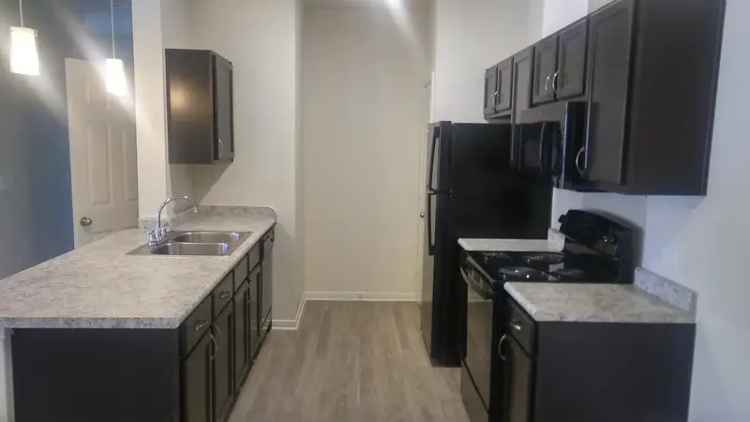 Rent Apartments in Cedar Park with Pool Fitness Center and Dog Park