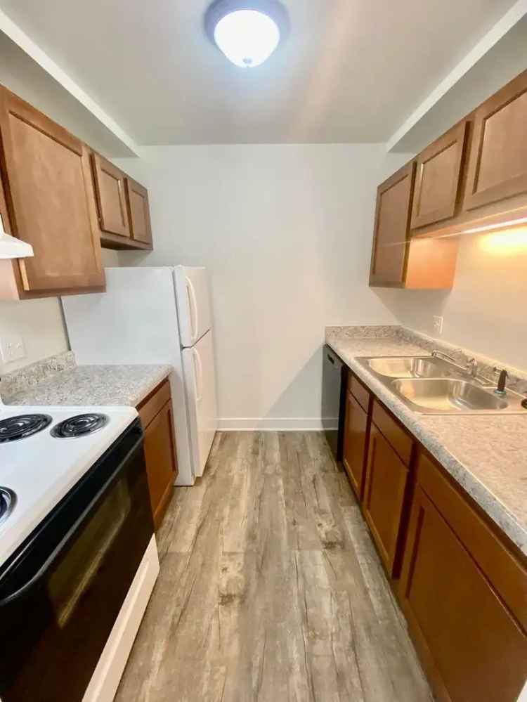 Apartments for Rent with Remodeled Features and Onsite Laundry