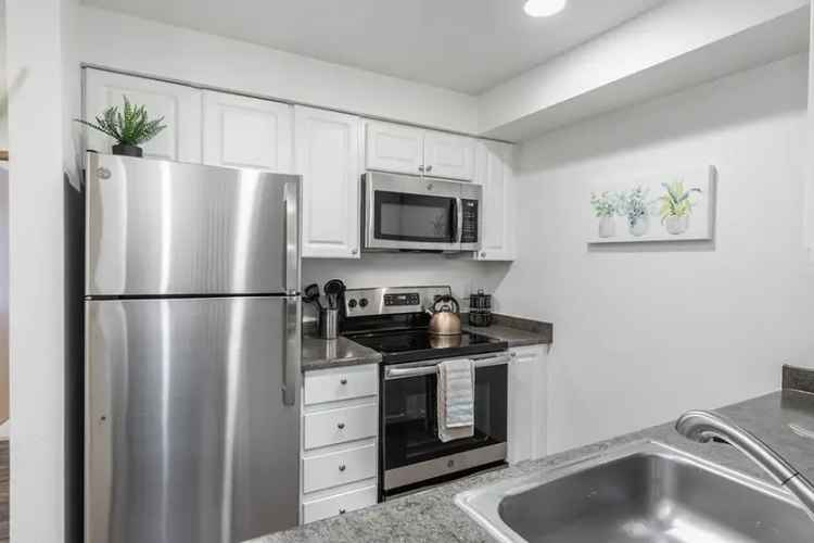 Rent 1 Bedroom 1 Bath Apartment in Kenmore with Modern Features