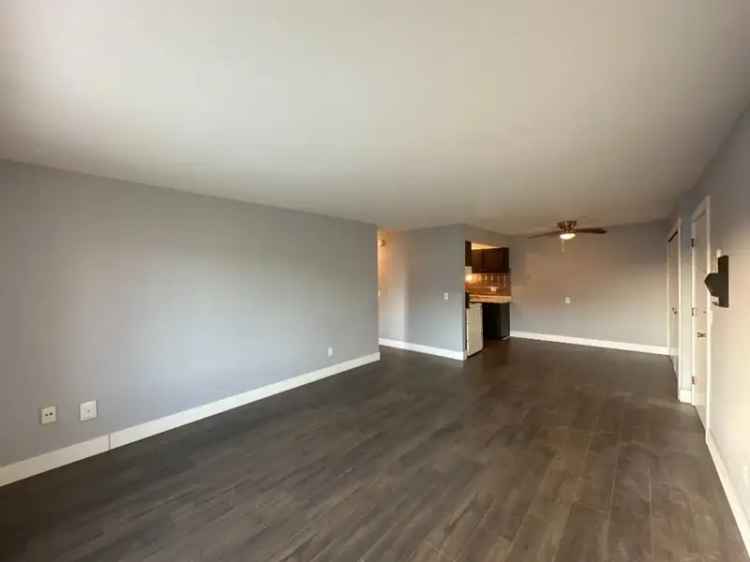 Rent Apartment Unit in Mt. Clemens with Walk-in Closets and Vinyl Flooring