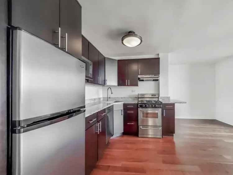 Luxury Apartments for Rent in Downtown Evanston with High-End Finishes