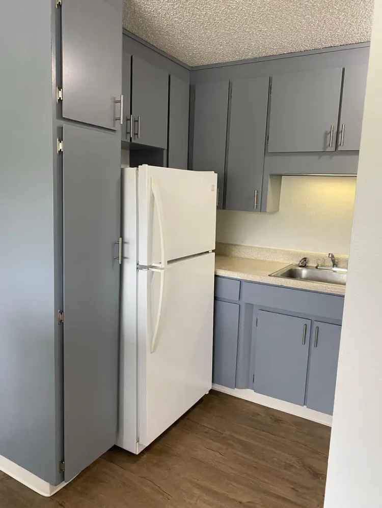 Rent Apartments in Sumner with Walk-in Closets and Outdoor Area