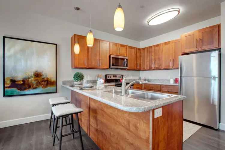 Rent Luxury Pet Friendly Apartments in Salt Lake City with Modern Features